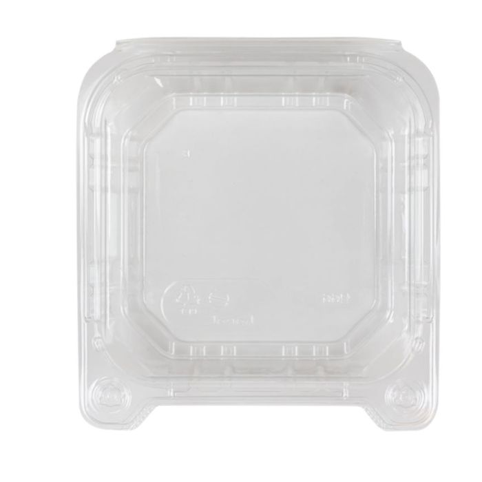 clear vented disposable plastic PET hinged lid fresh fruit containers