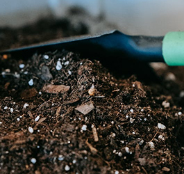 Are Napkins Recyclable or Compostable?