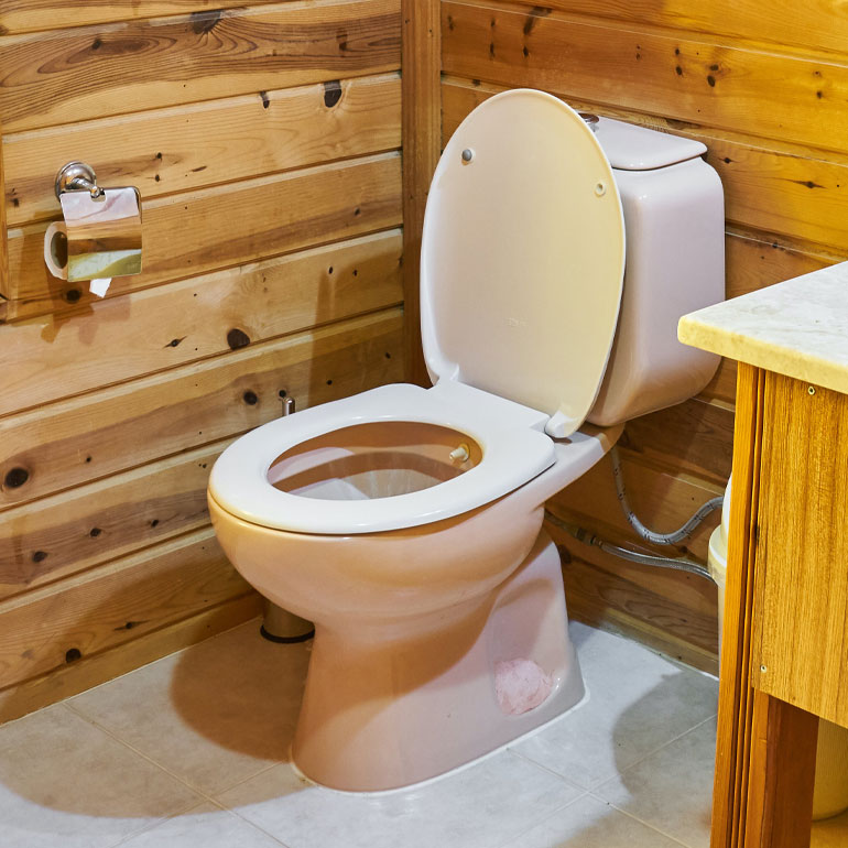 Guide to Using Toilet Seat Covers Effectively - Richmond Advantage