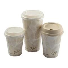 Disposable Cups Comparison