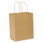 Kraft Gift Bag (250 Bags)
