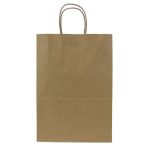 Paper Shopping Bag, Med, Kraft, Twisted Handles (250 Bags)