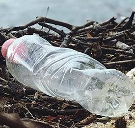 Preparing for Single-Use Plastics Restrictions in San Antonio: Sustainable Alternatives